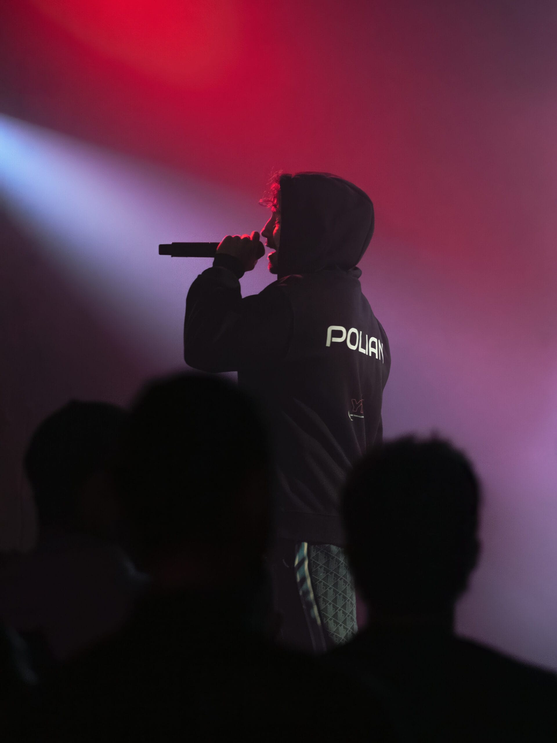 Polian en concert au Nouveau Casino à Paris, par Art Visual Concept