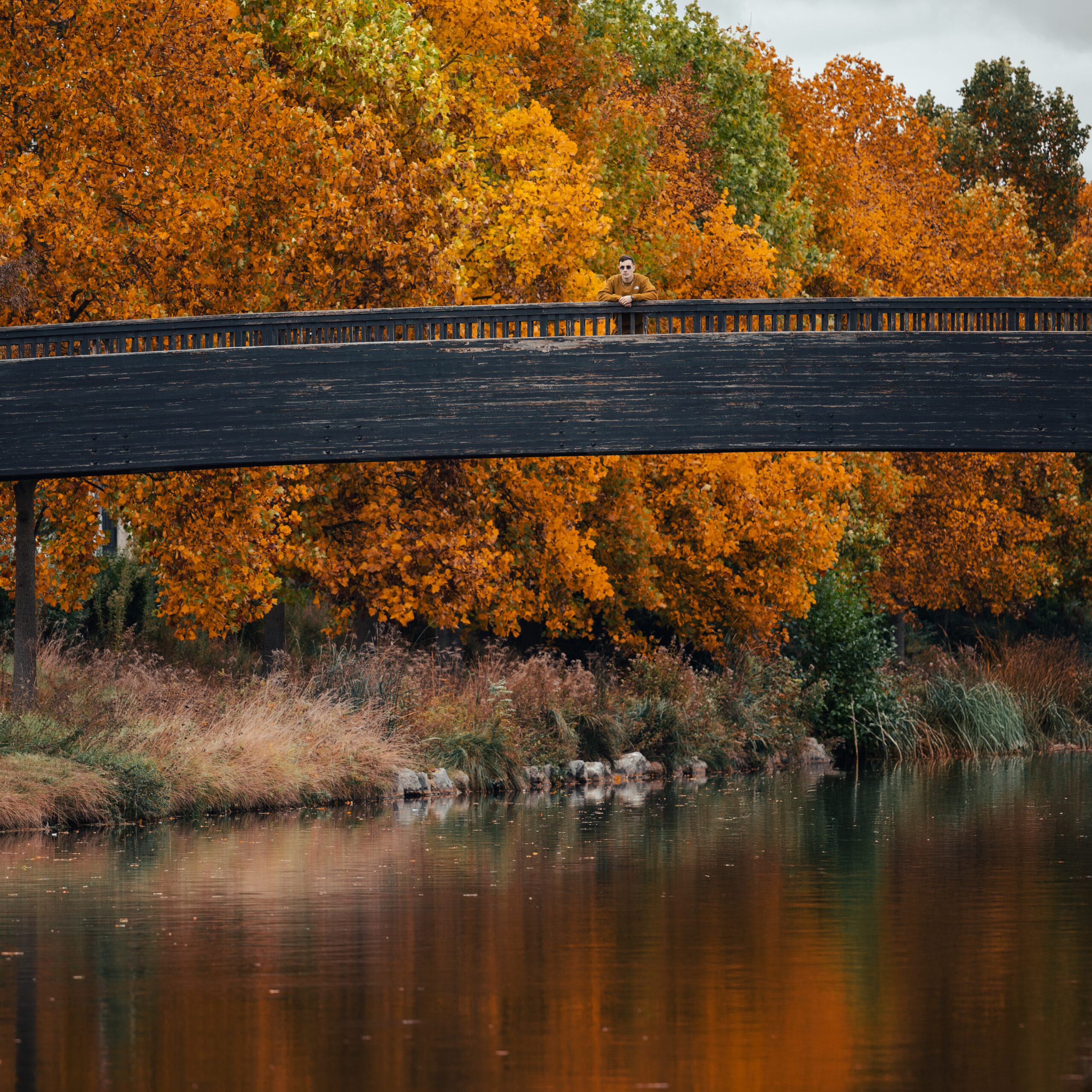 Azax – Rive Triste